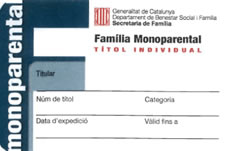 descuentos familia monoparental